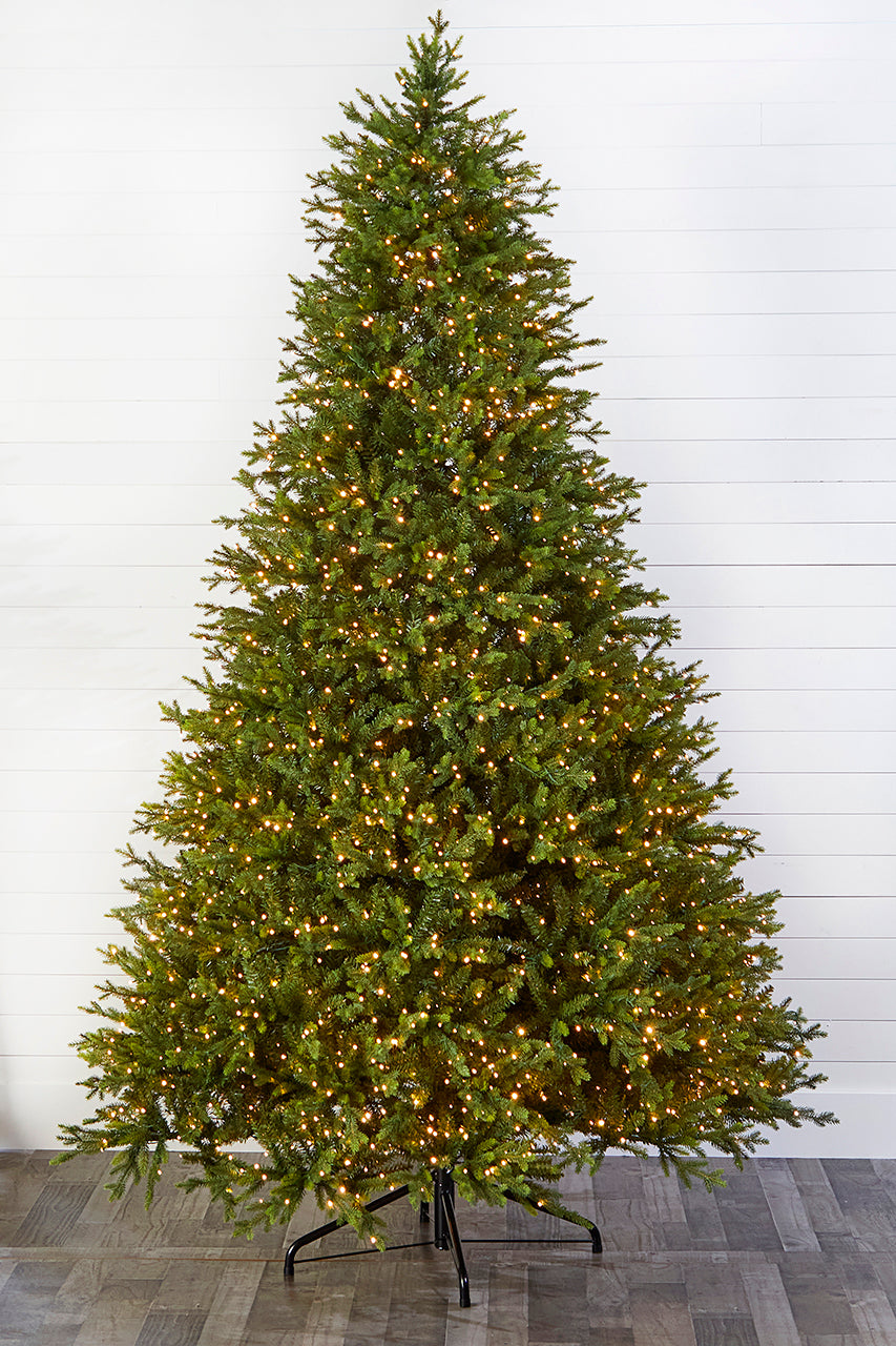 10' Southern Fir with 3000 3mm Lights