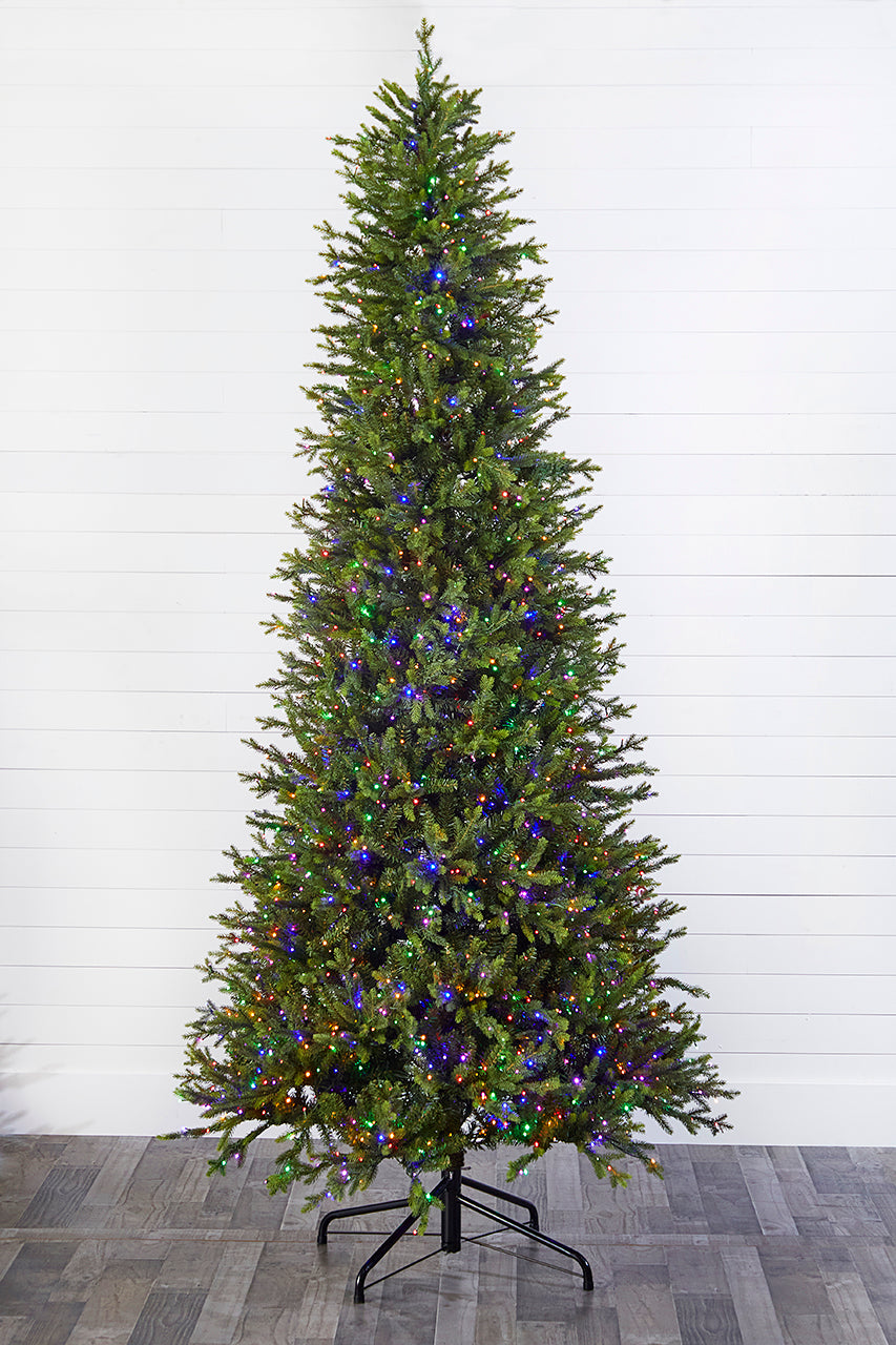 10' Slim Southern Fir with 2000 3mm Lights