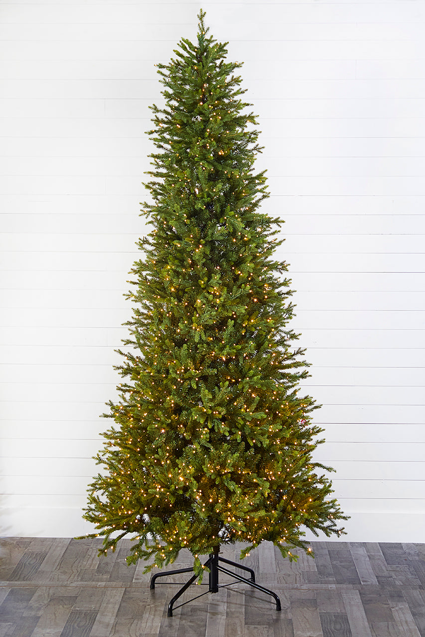 10' Slim Southern Fir with 2000 3mm Lights