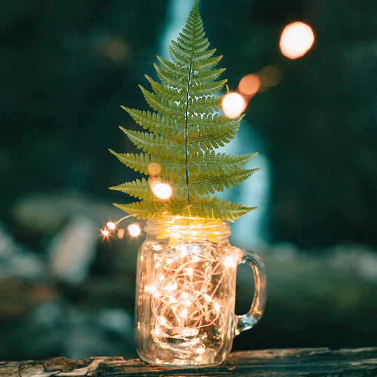 20 LED Mini Fairy String Lights – Batteries Included