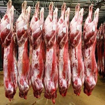 BABY LAMB WHOLE