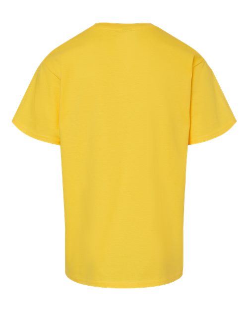 Youth Softstyle Midweight Short Sleeve Crewneck T-Shirt