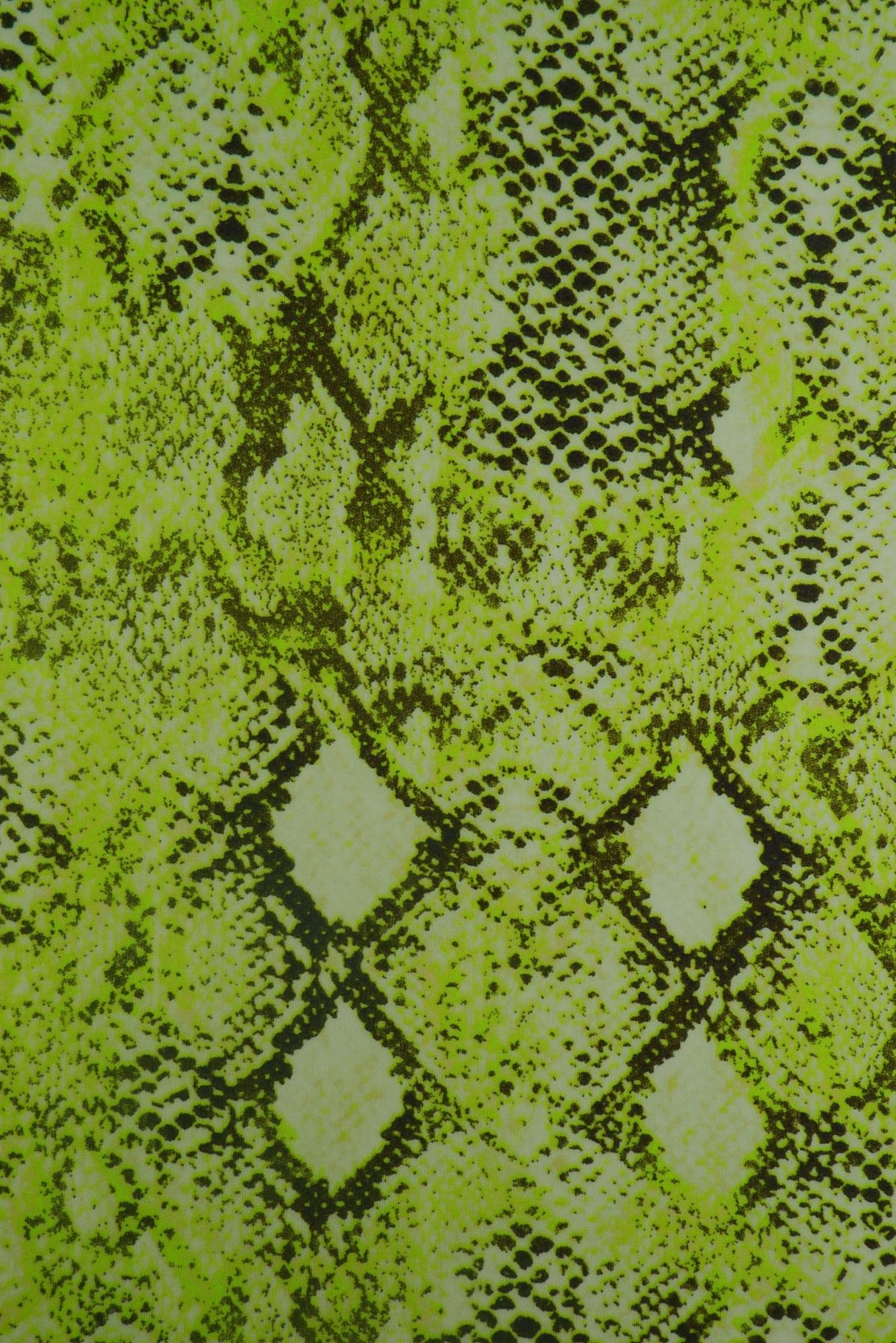 Snake Skin Print DTY Brushed Knit Lime Neon