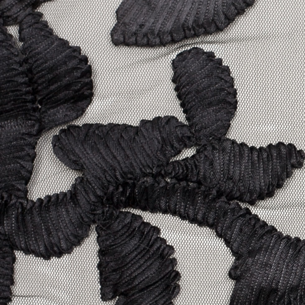 Black Ribbon Embroidered Netting