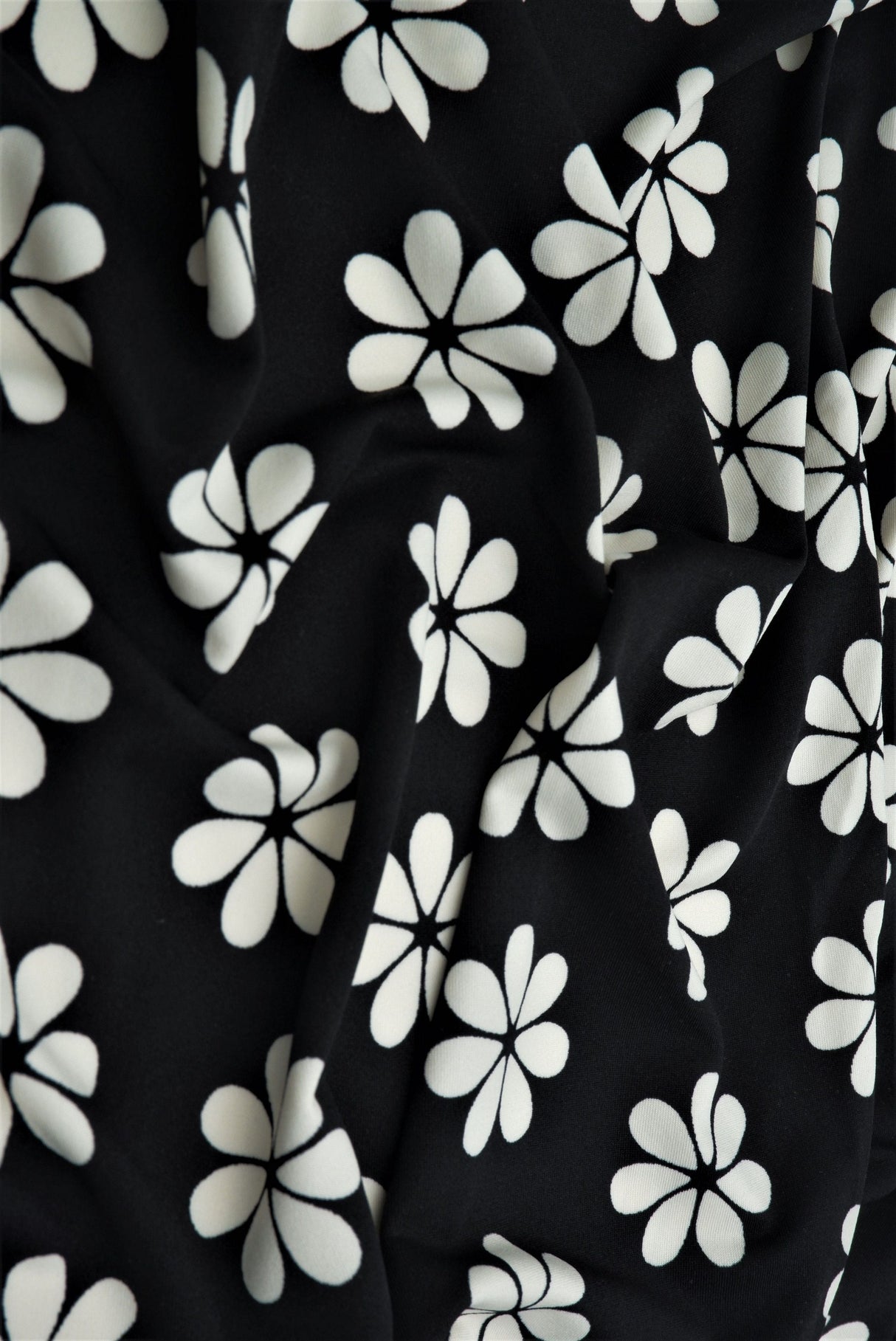 Floral Stretch Knit Black Ivory