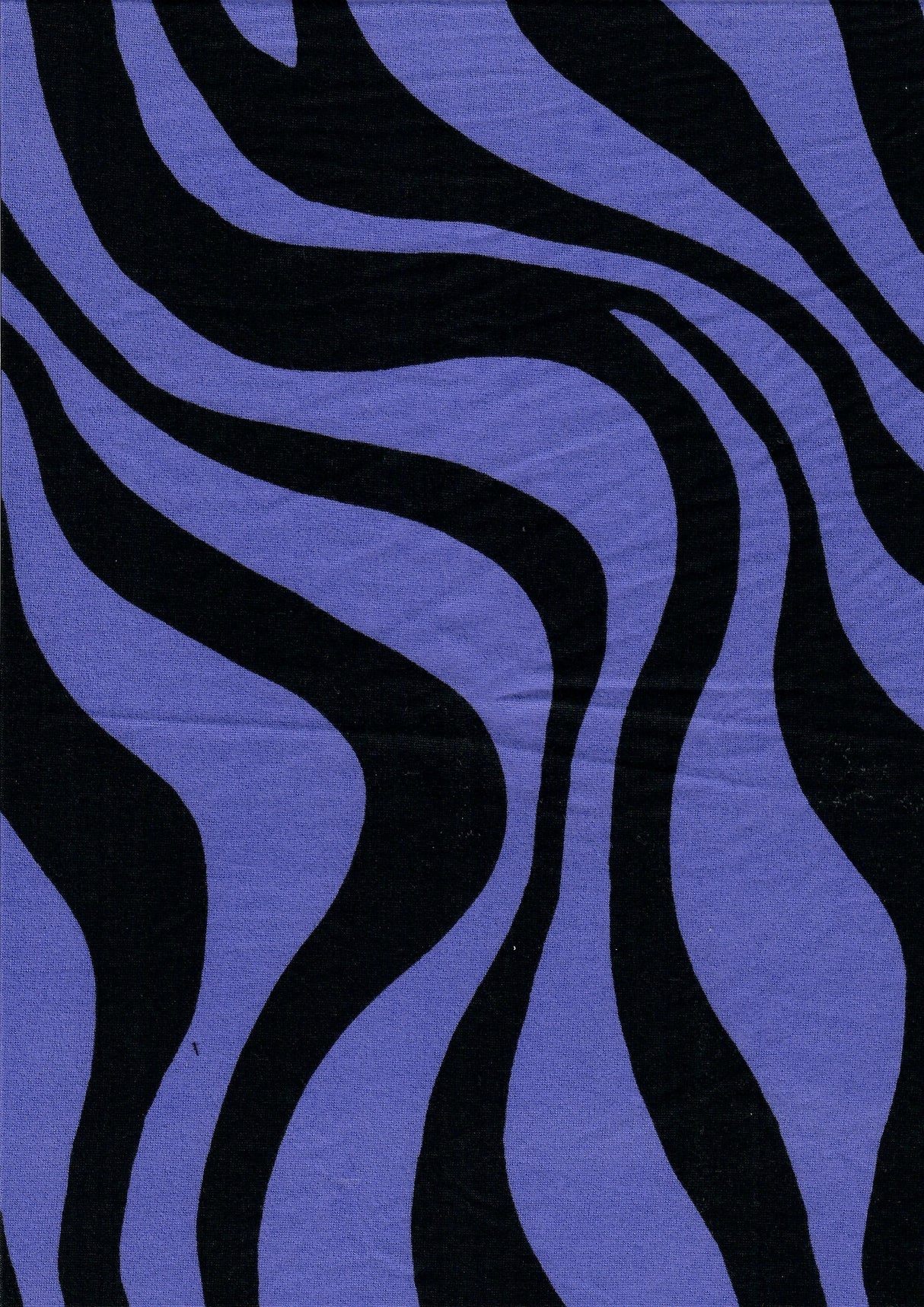 Brushed DTY Zebra Print Knit Fabric