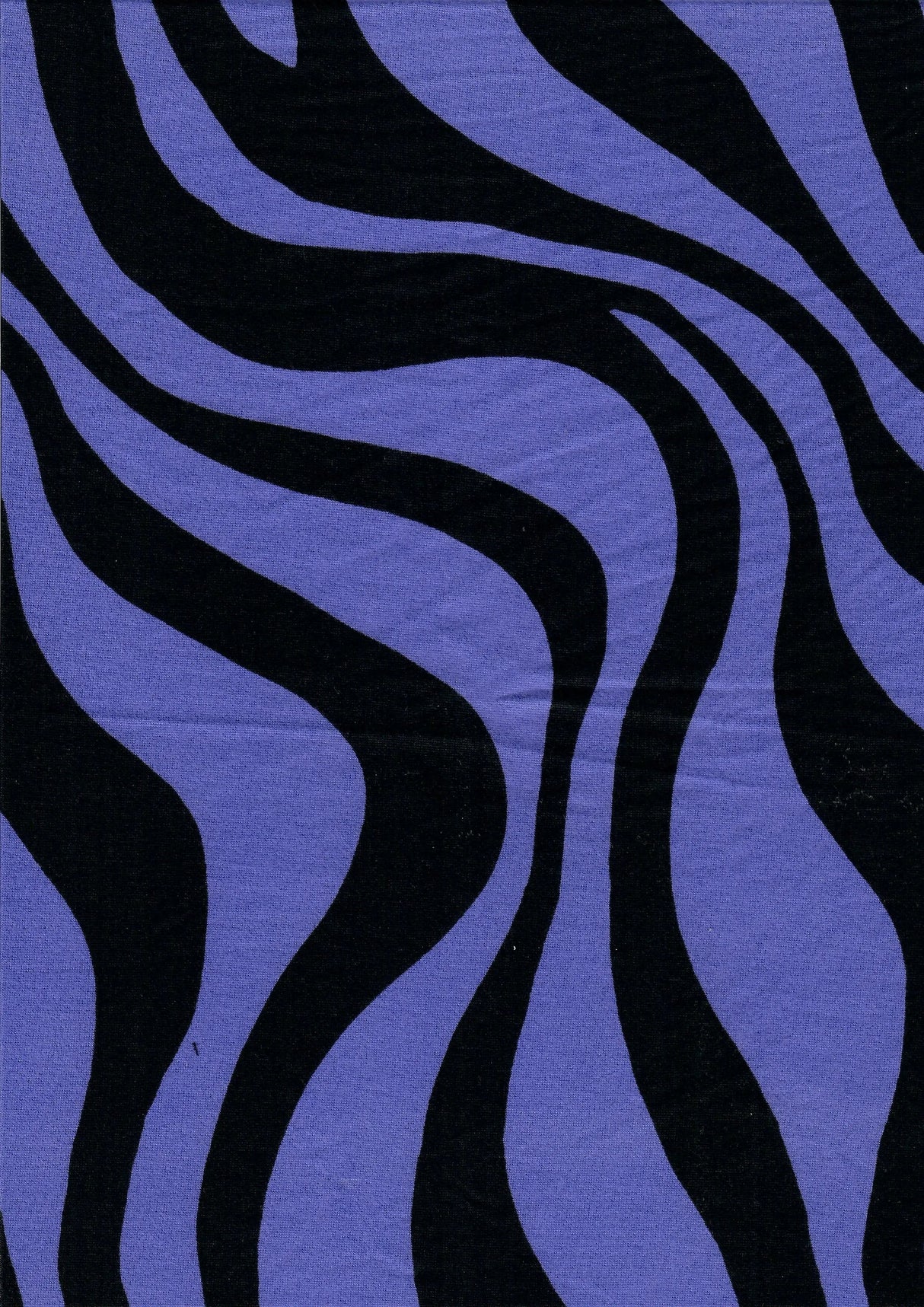 DTY Brushed Zebra Print Fabric, Stretch Animal Knit, 58/60" Wide Lightweight
