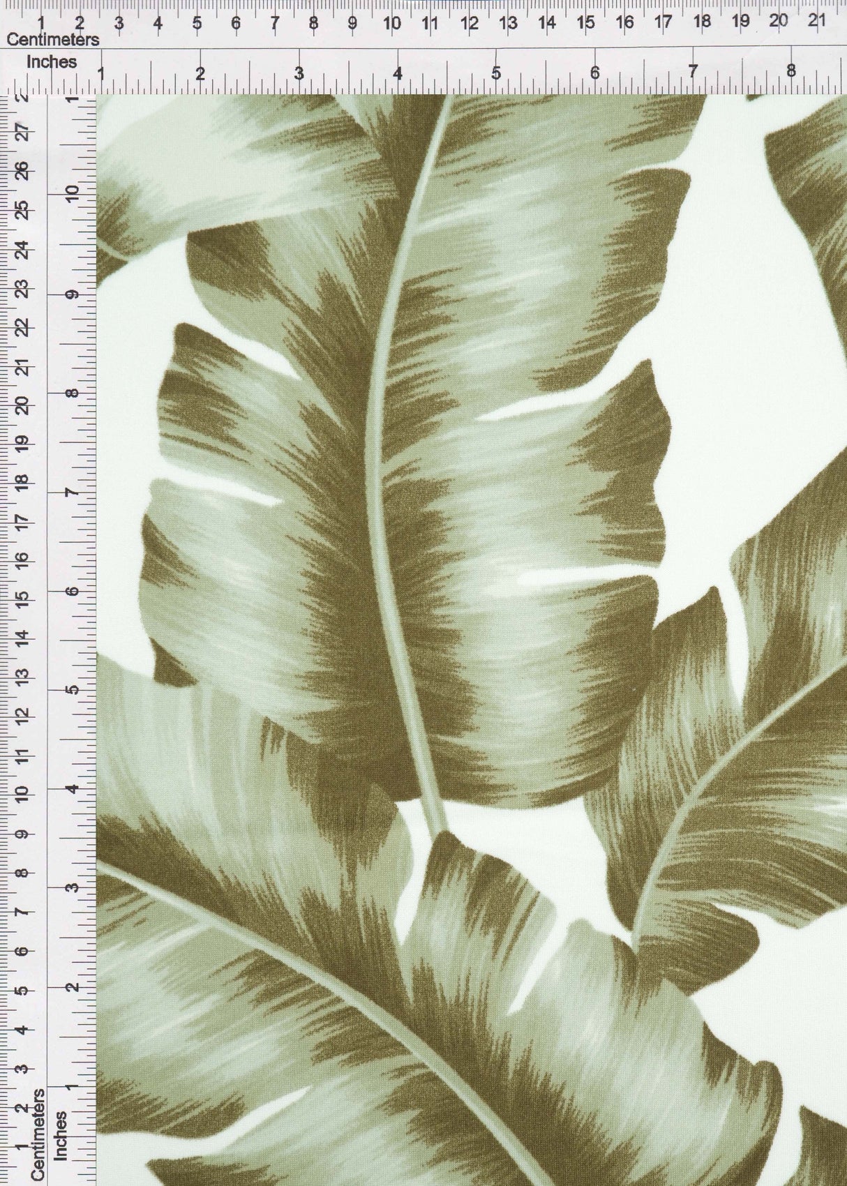 Leaf Print Stretch Knit Fabric Sage