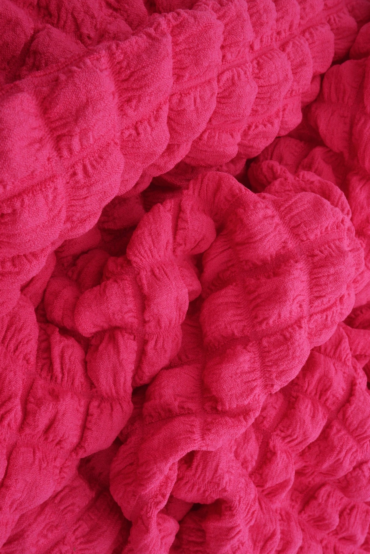 Woven Jacquard Fabric