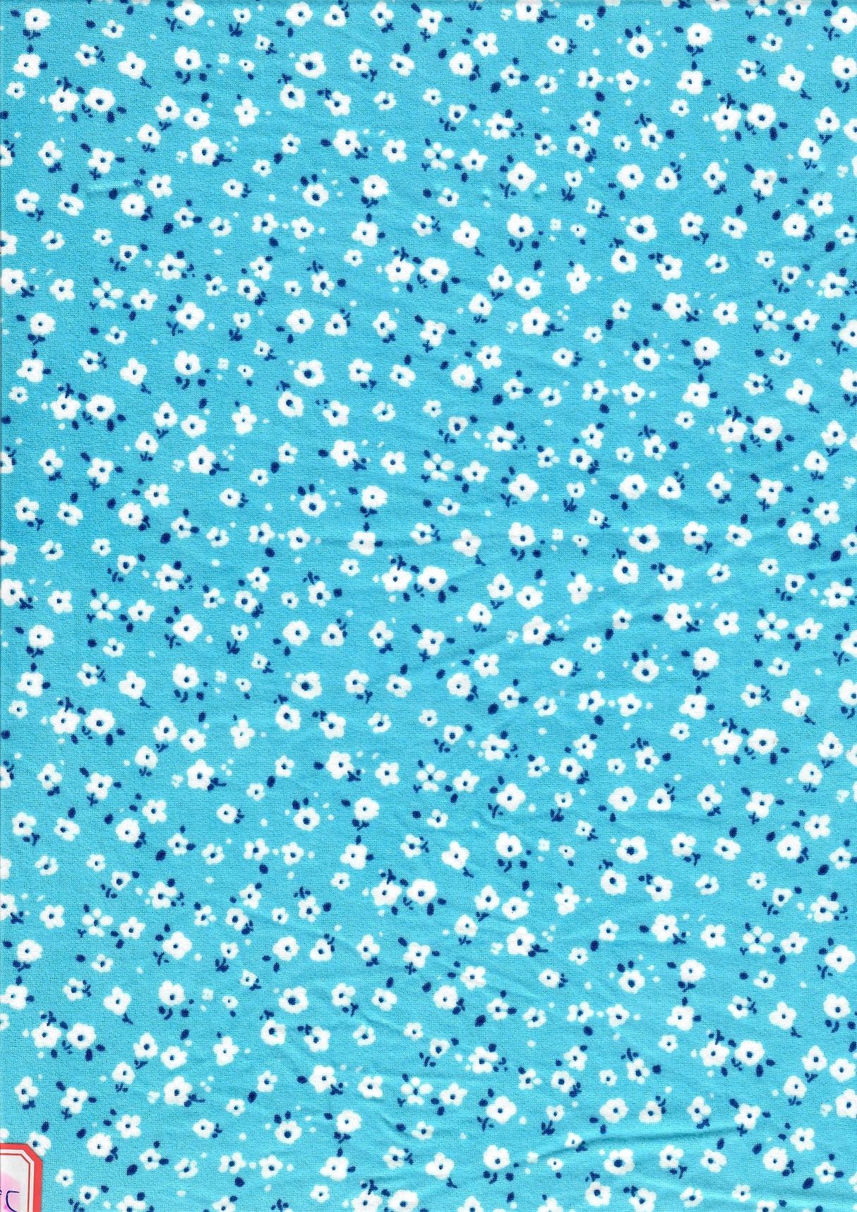 Brushed DTY Ditsy Floral Knit Blue Sky