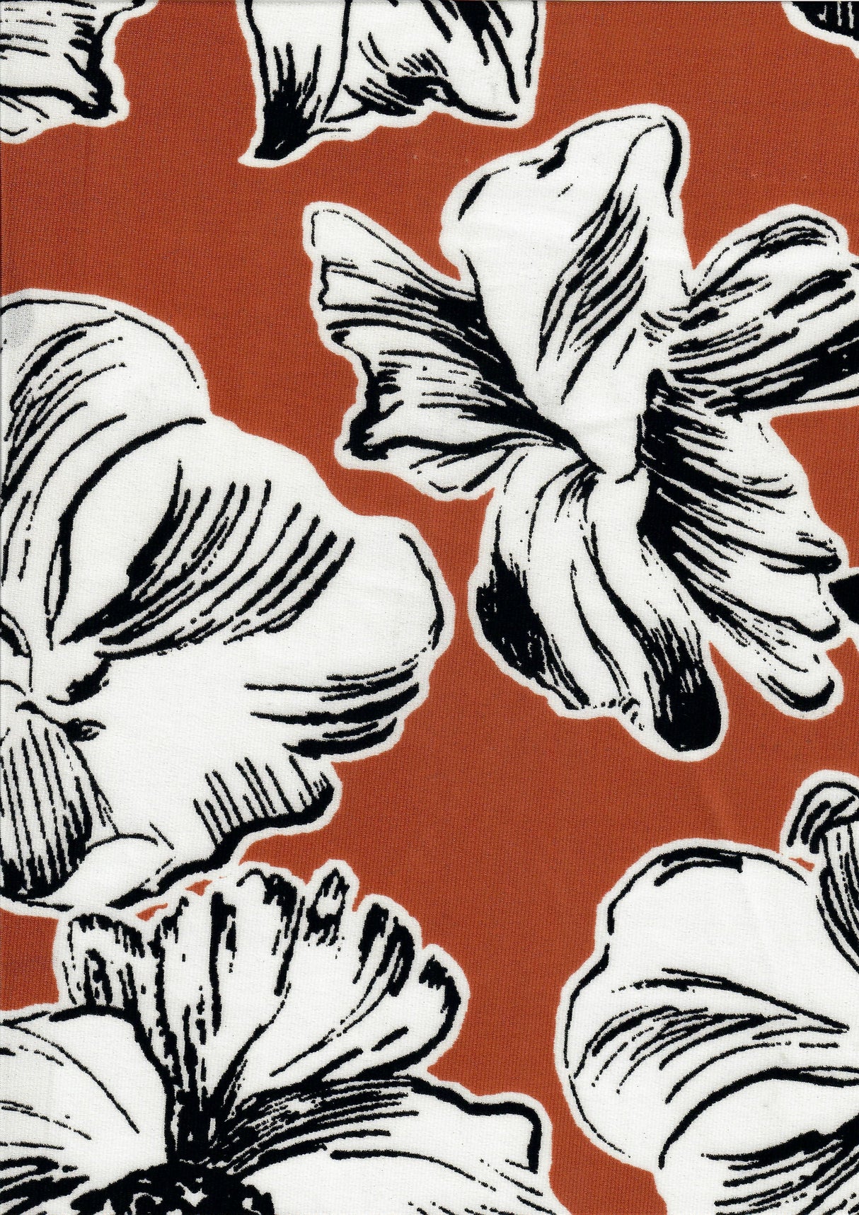Floral ITY Stretch Knit Fabric