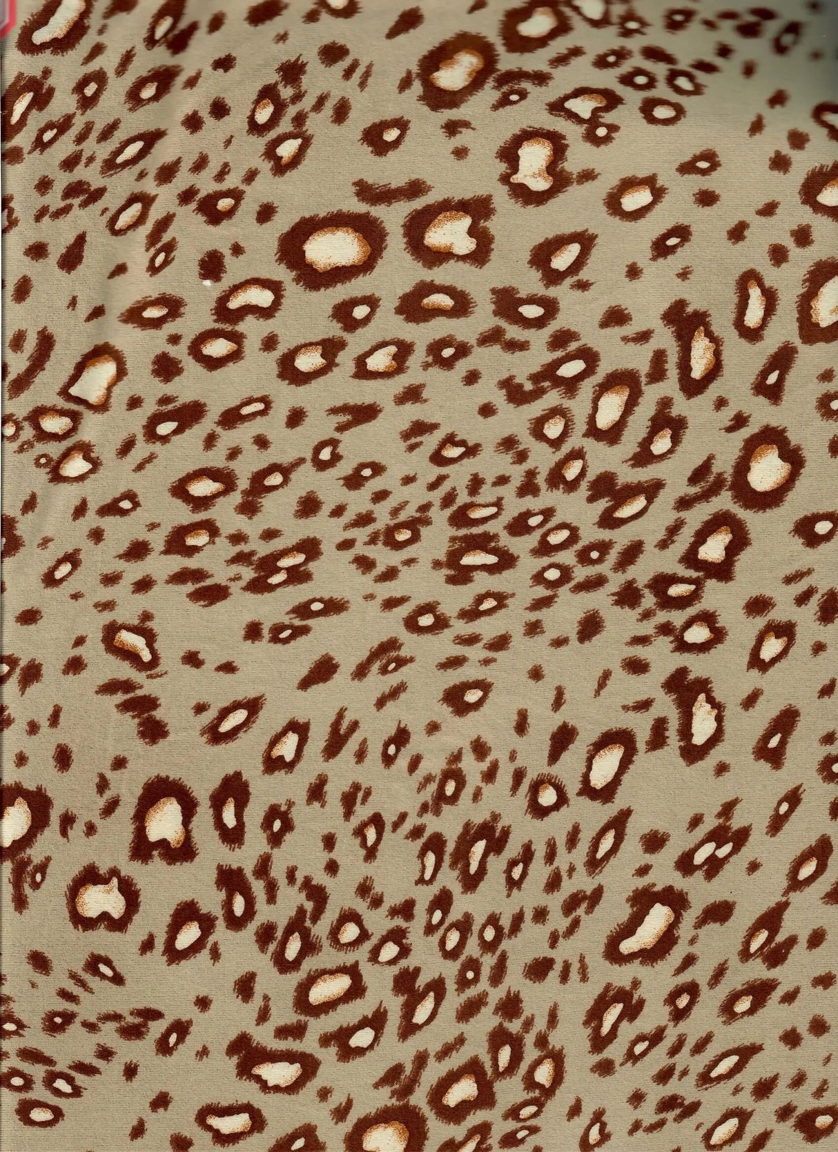 1 Yard Brushed DTY Animal Print Knit Fabric 170 GSM, 58/60'' Wide Polyester Spandex Blend