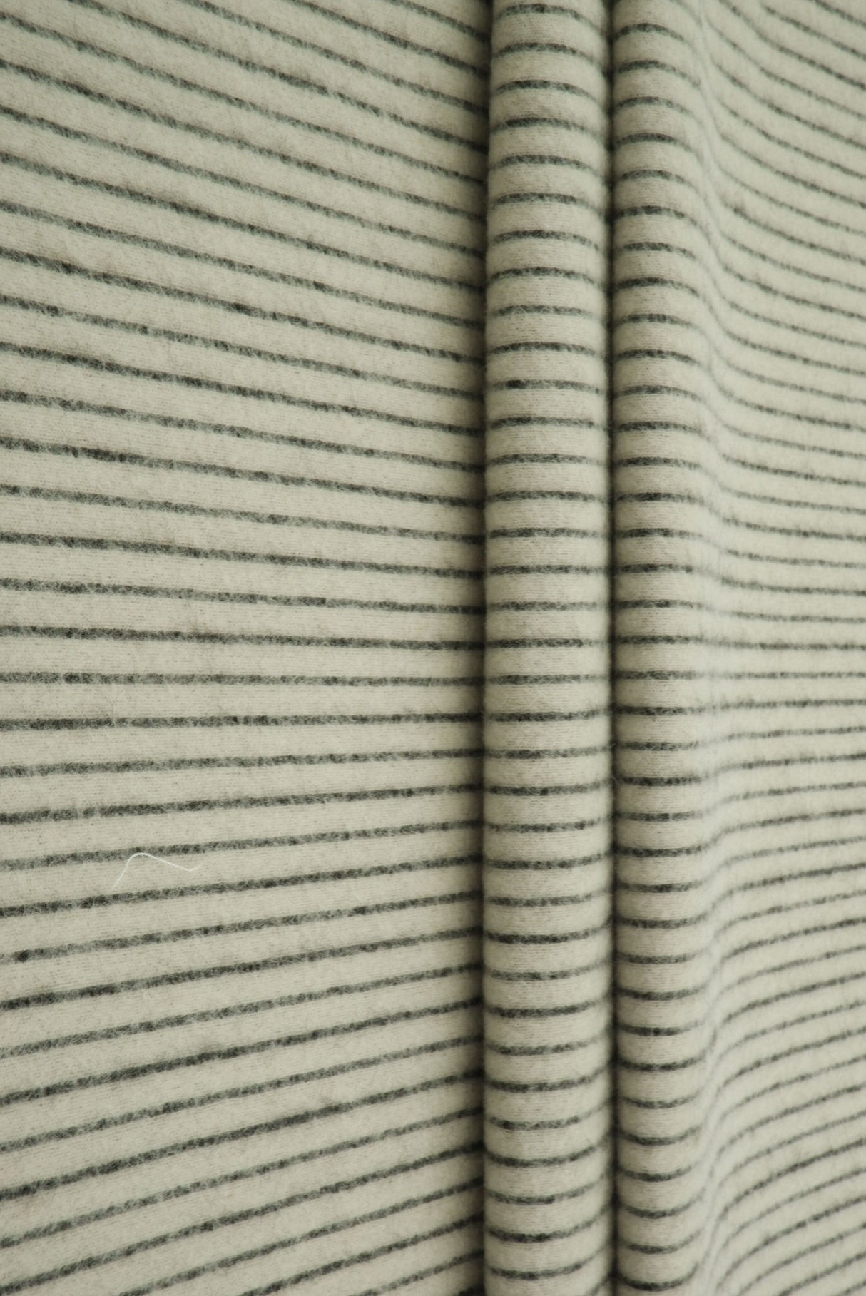 Brushed Rib Knit Solid Fabric