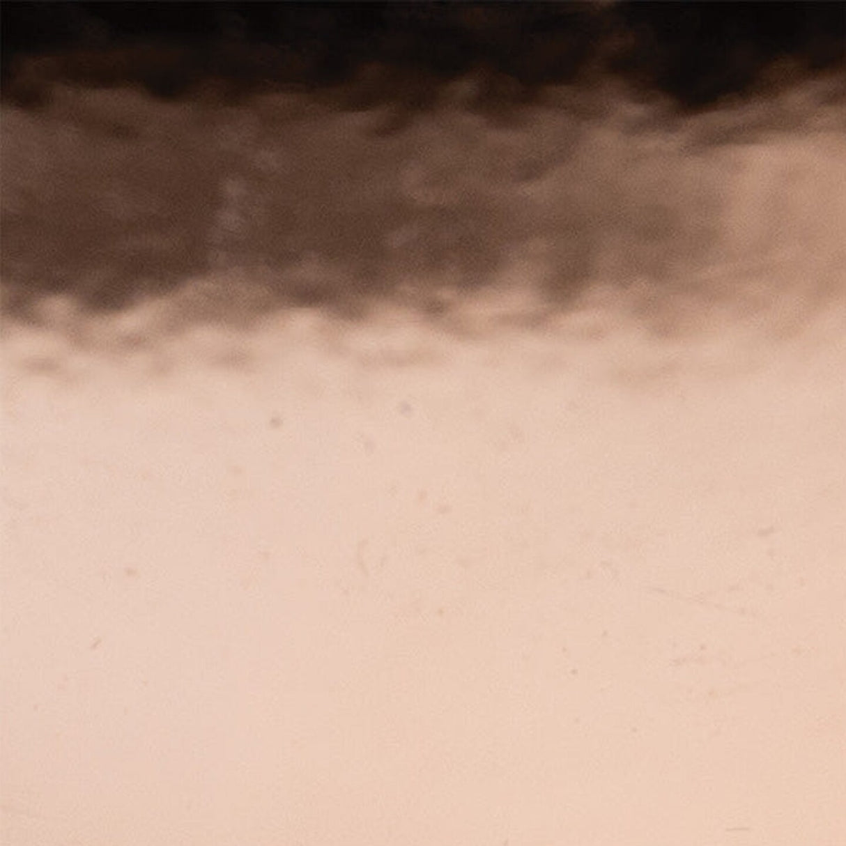 Creative Vinyl Polychrome Polish Film 24"