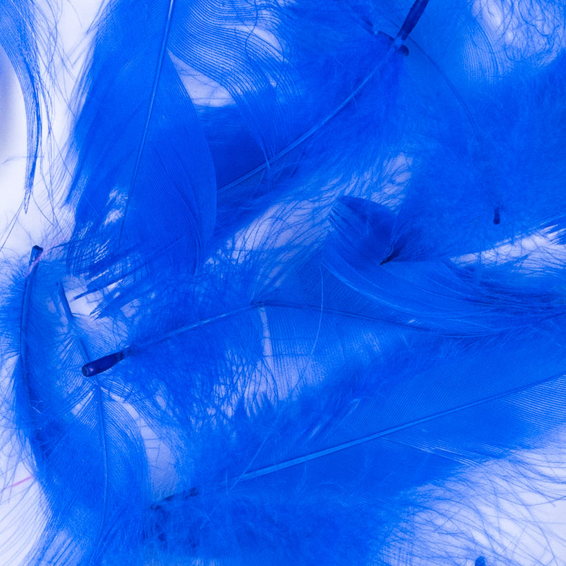 Blue 5 Gram Bag of Feathers