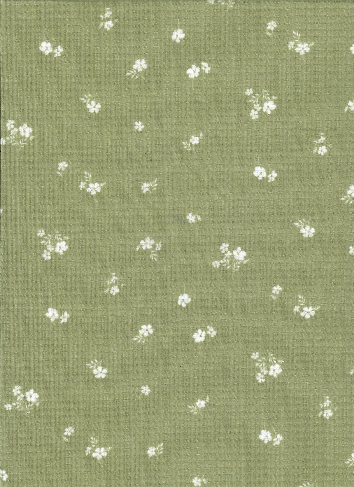 Pointelle Floral Stretch Knit Fabric