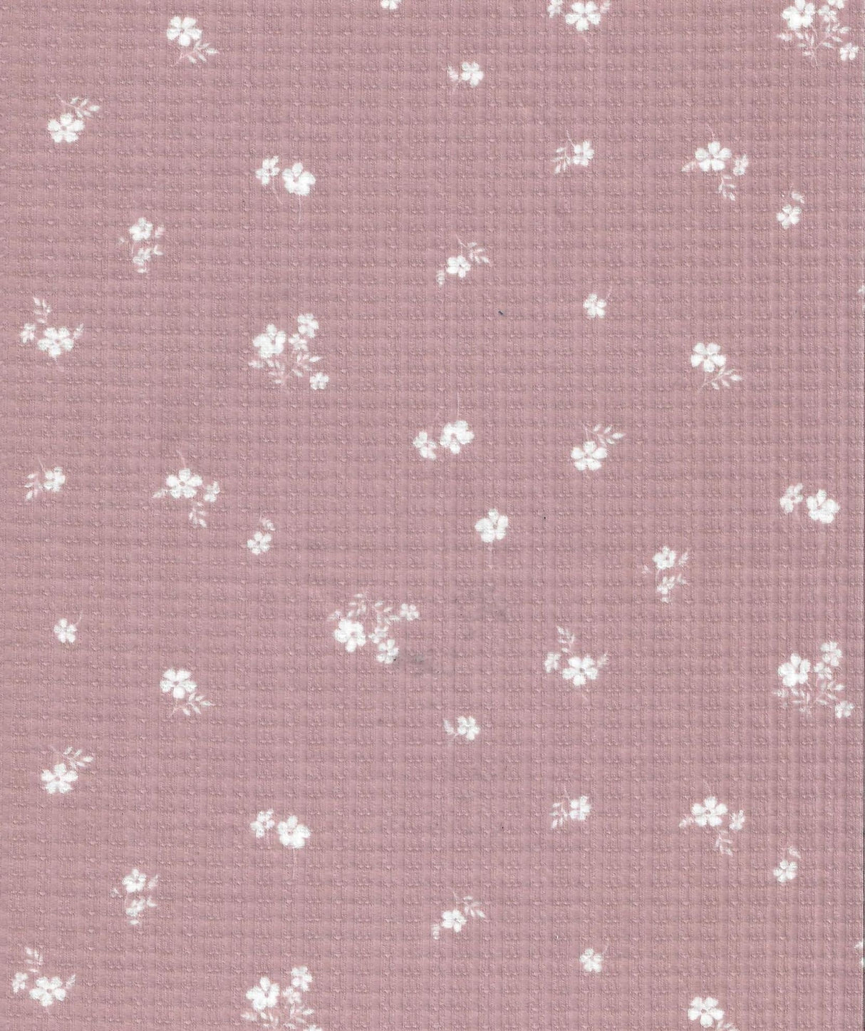 Pointelle Floral Stretch Knit Fabric