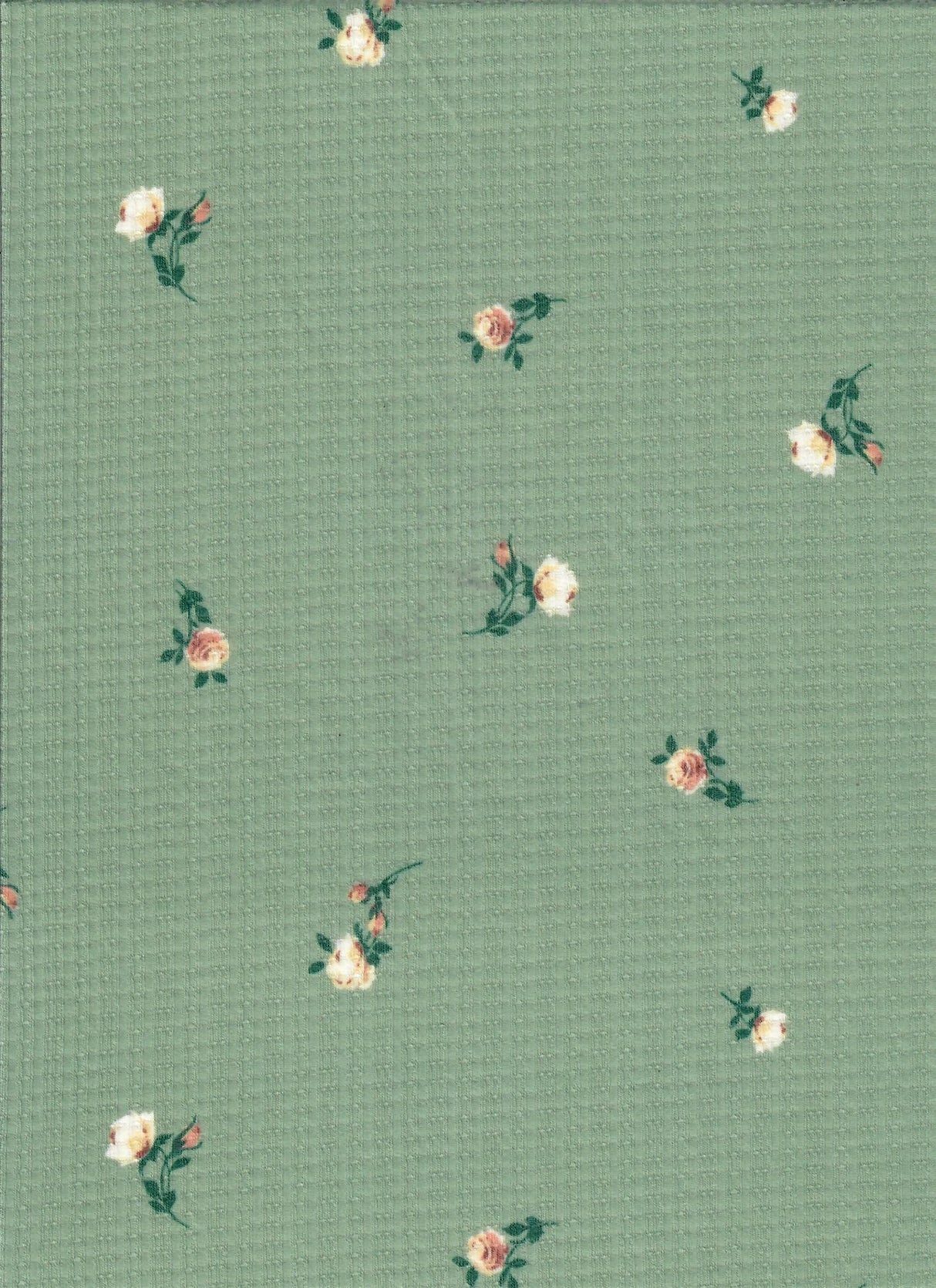 Pointelle Rib Knit Ditsy Daisy Floral