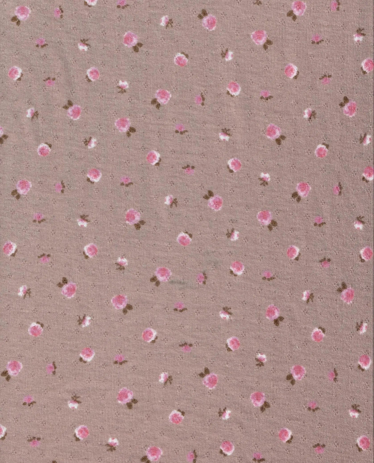 1 Yard Cotton-Style Ditsy Pointelle Print Knit Fabric, 61/63'' Wide Polyester Spandex Blend