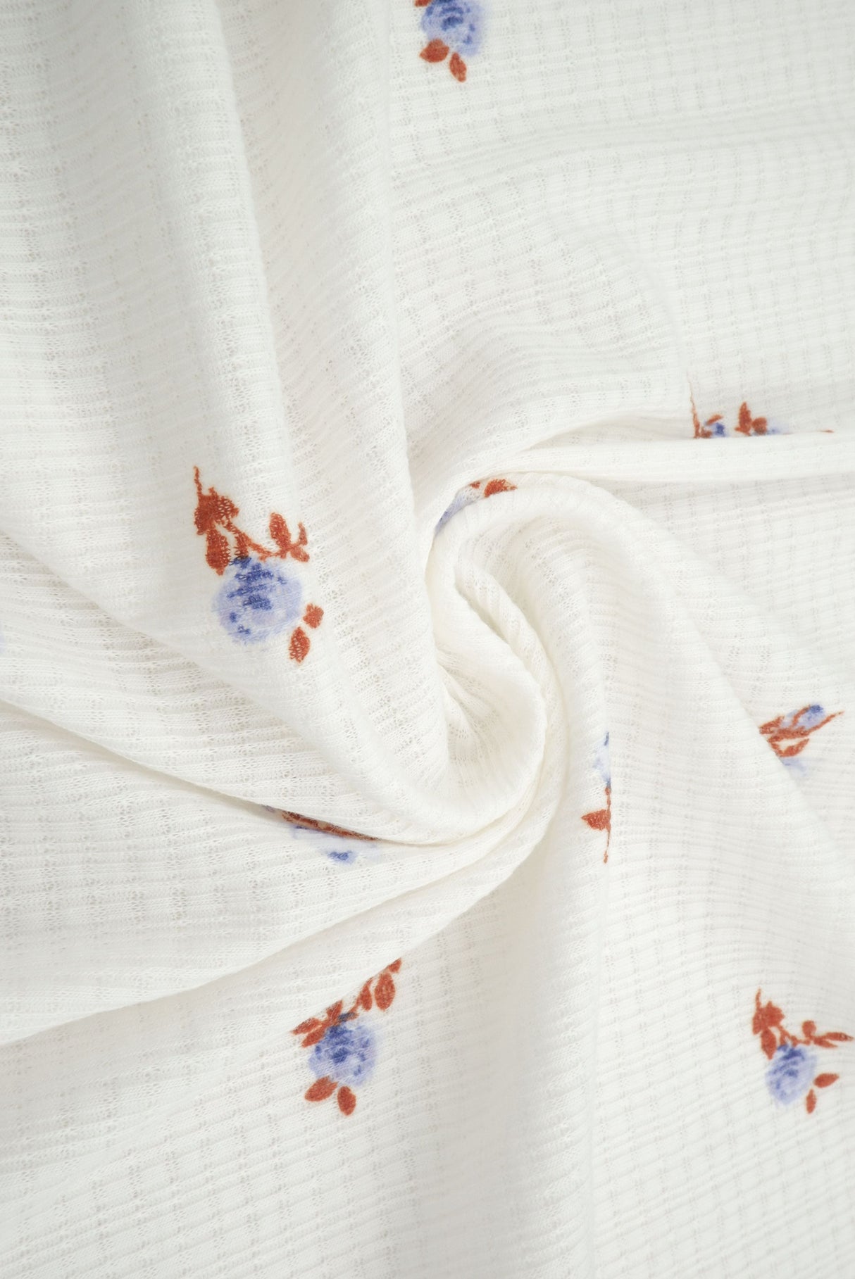Pointelle Rib Knit Ditsy Daisy Floral