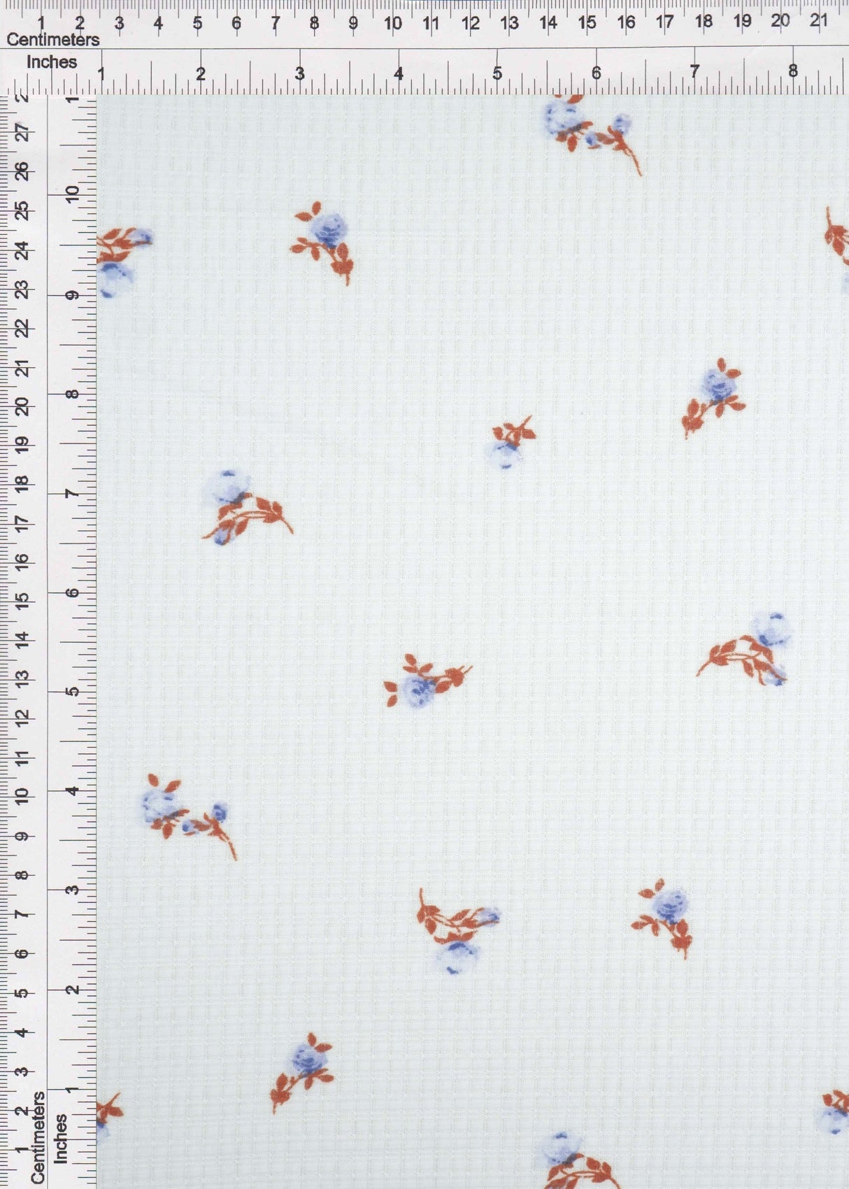 Pointelle Rib Knit Ditsy Daisy Floral