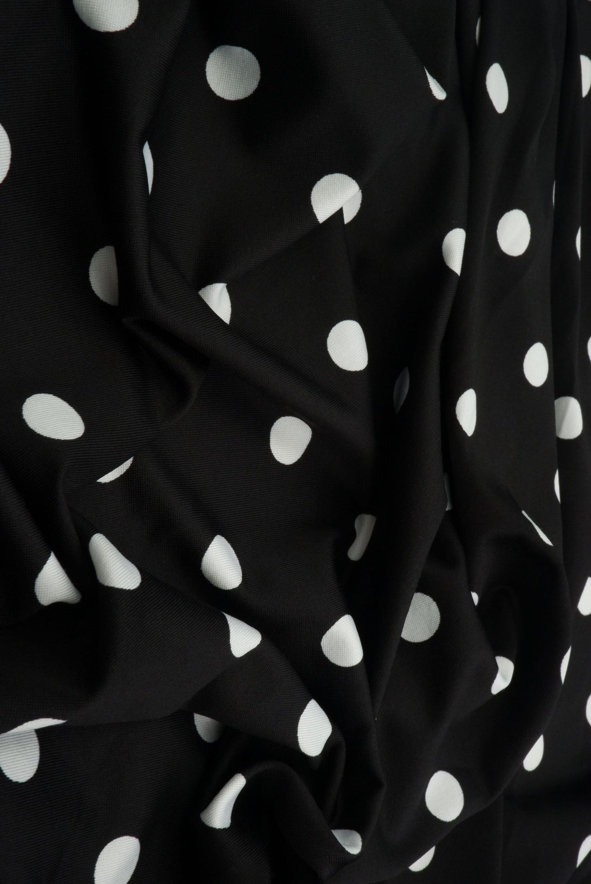 Polka Dot DTY Knit Fabric Black