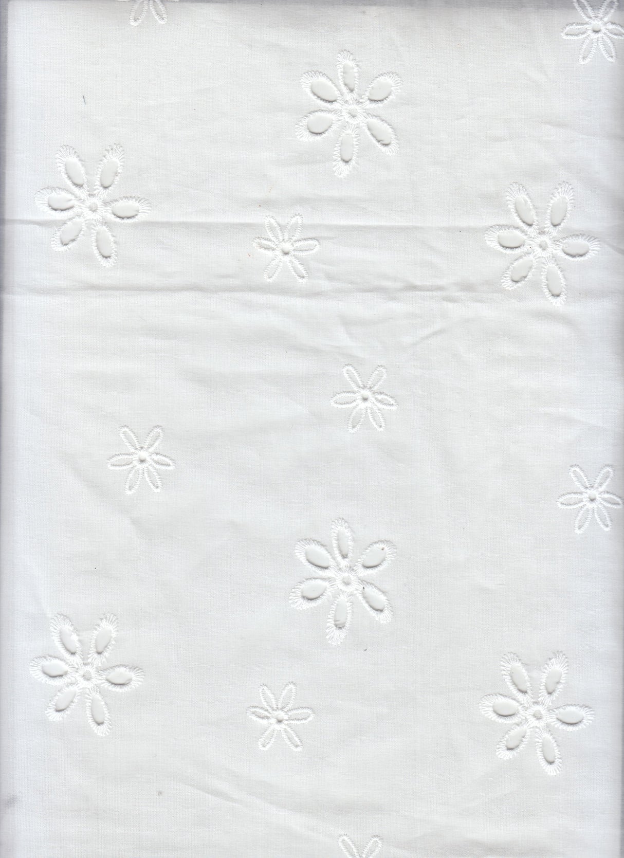 Embroidered Floral Cotton Lawn Eyelet Fabric Ivory