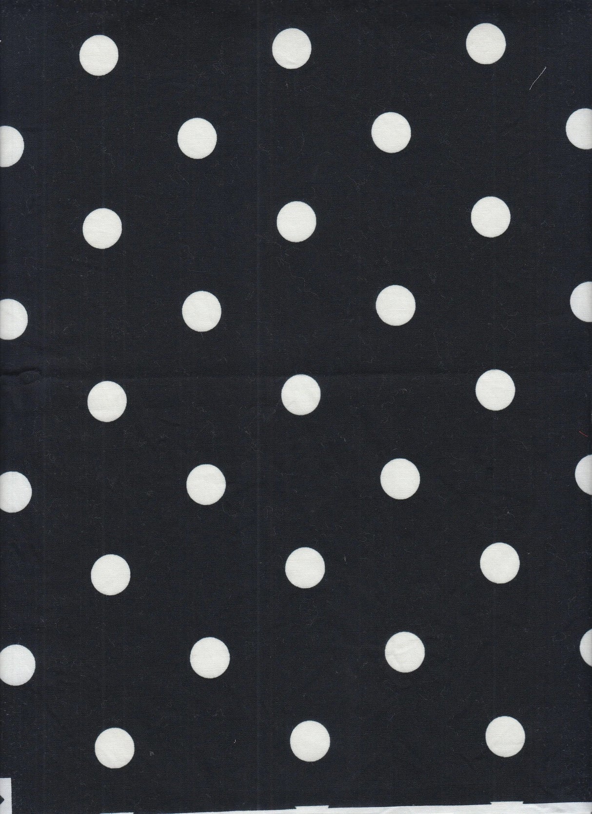 Stretch Poplin Small Dot Fabric Cotton Spandex Woven Print, 57/58" Wide