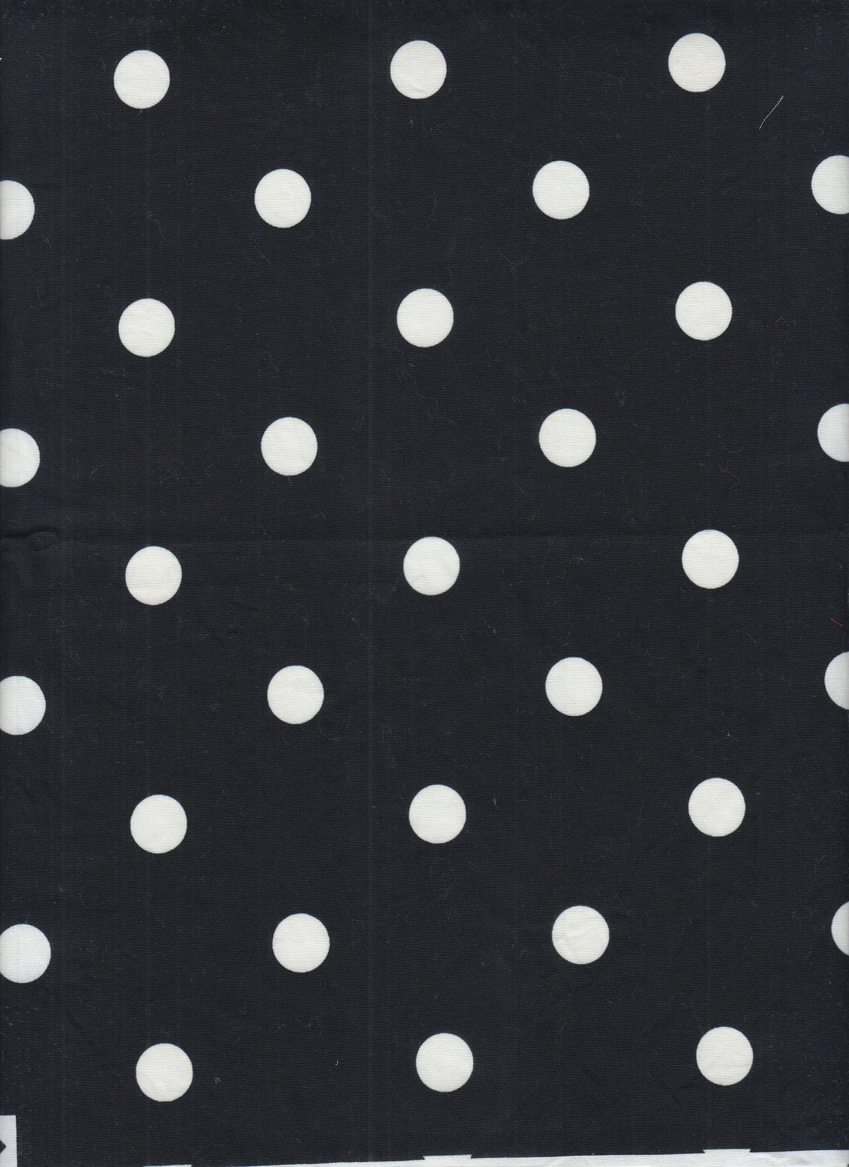 Small Dot Stretch Poplin