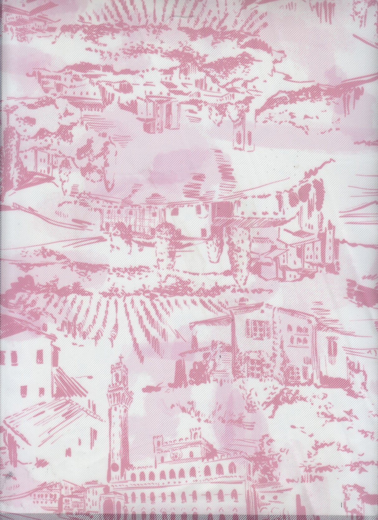 Printed Mesh Stretch Fabric Toile