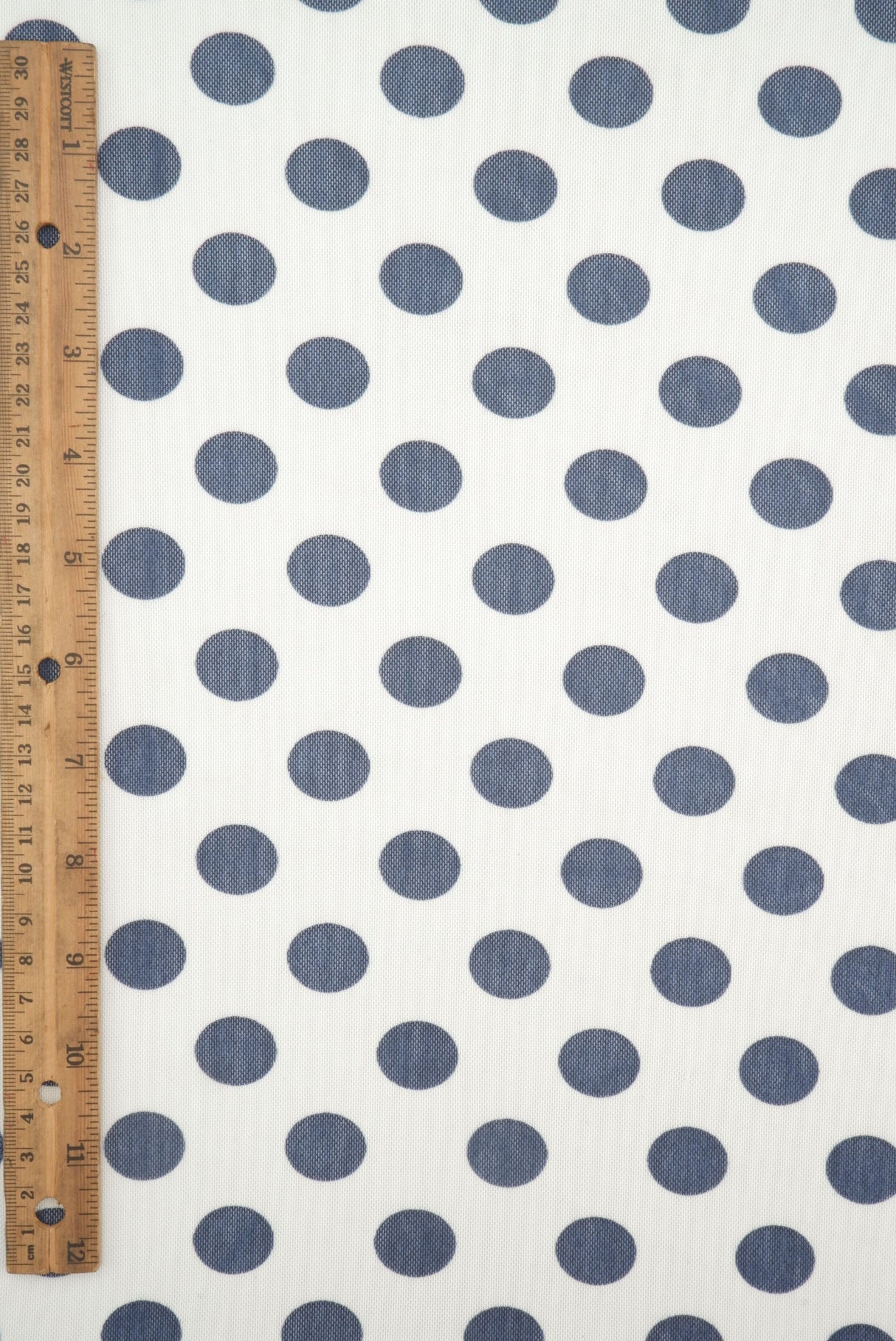Polka Dot Mesh Print