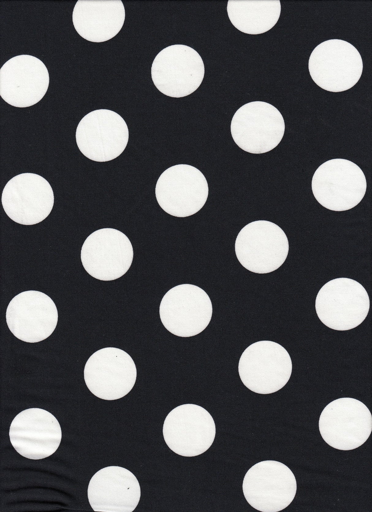 Polka Dot DTY Knit Fabric