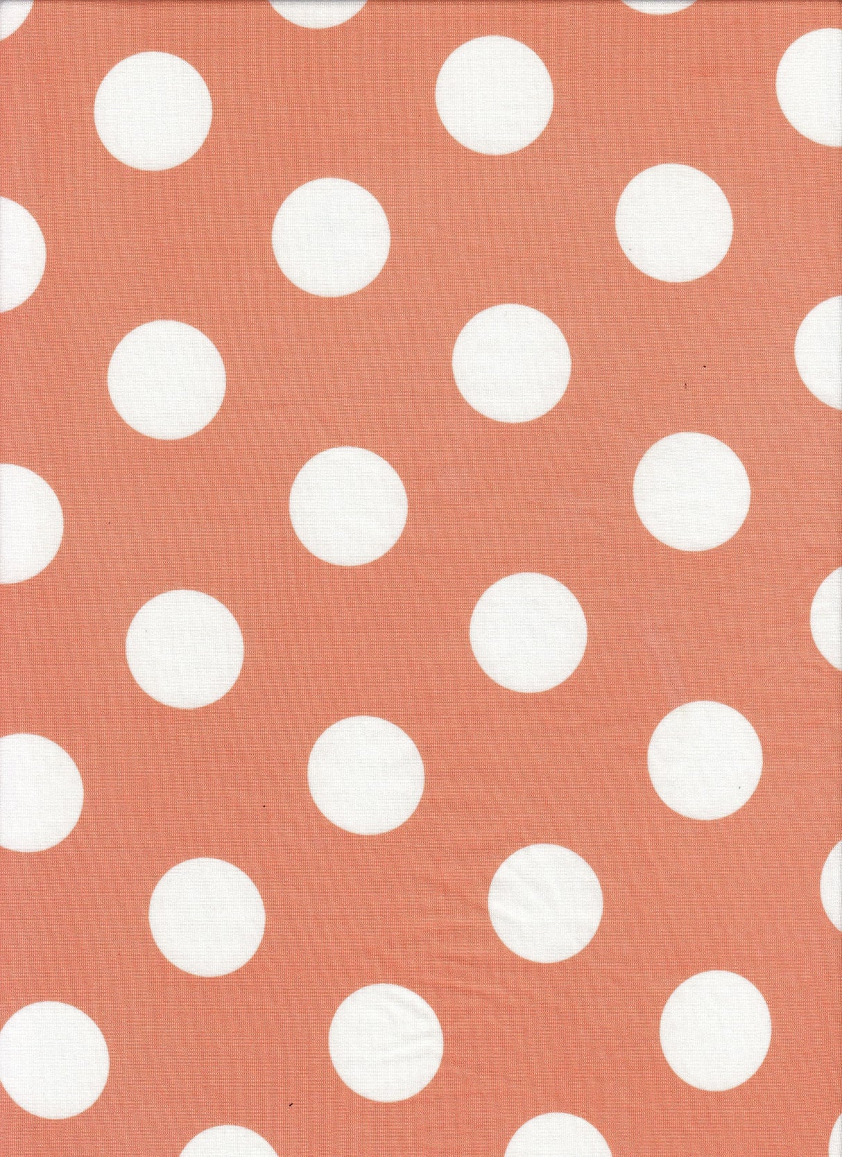 Polka Dot DTY Knit Fabric