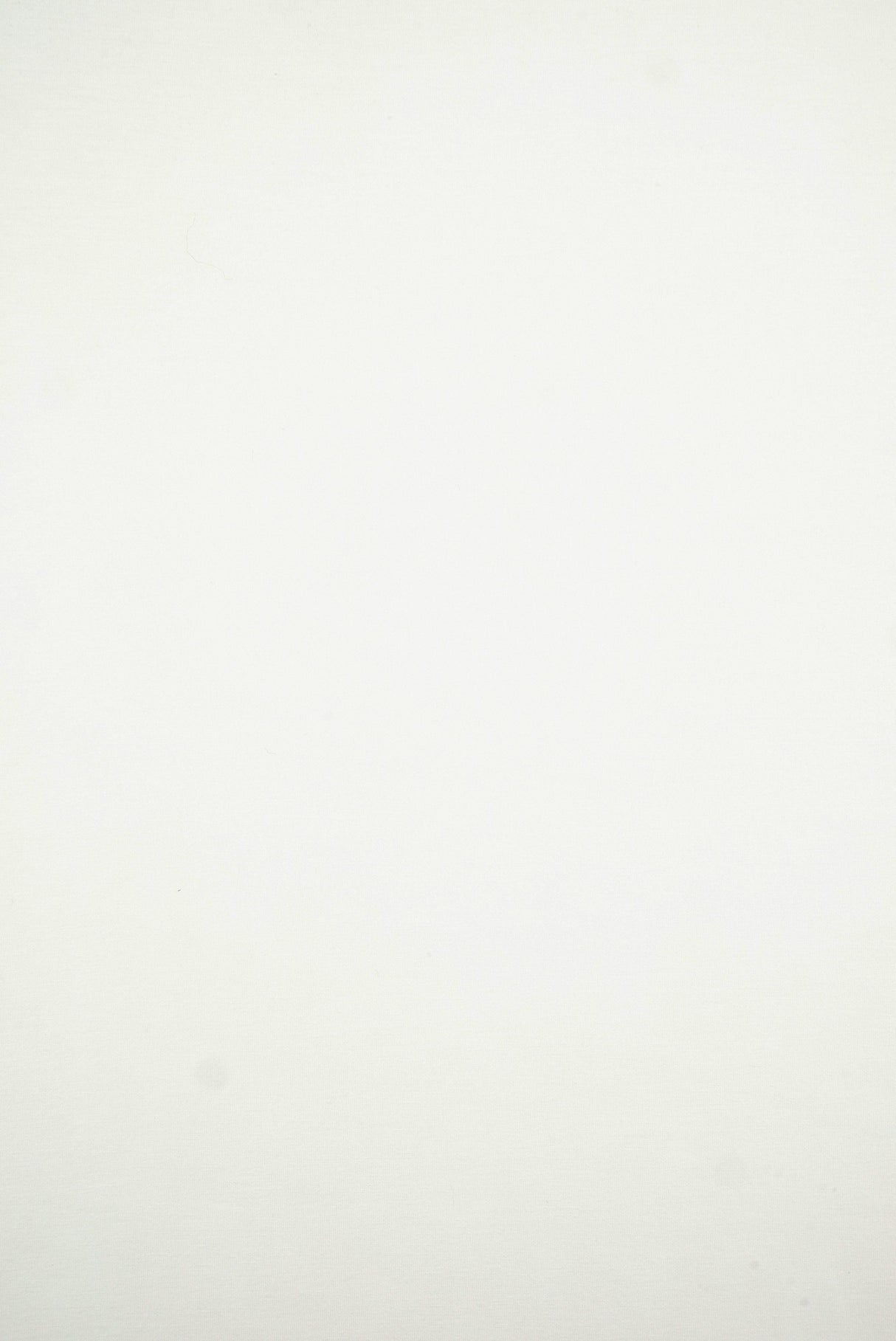 Butter Scuba Knit Fabric