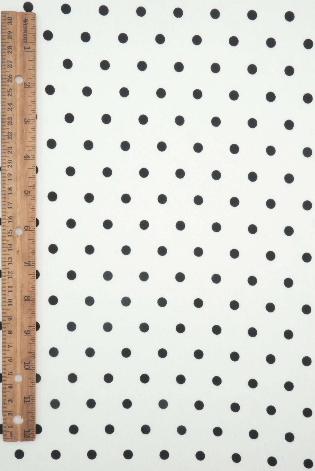 Polka Dot Brushed Knit Ivory Black