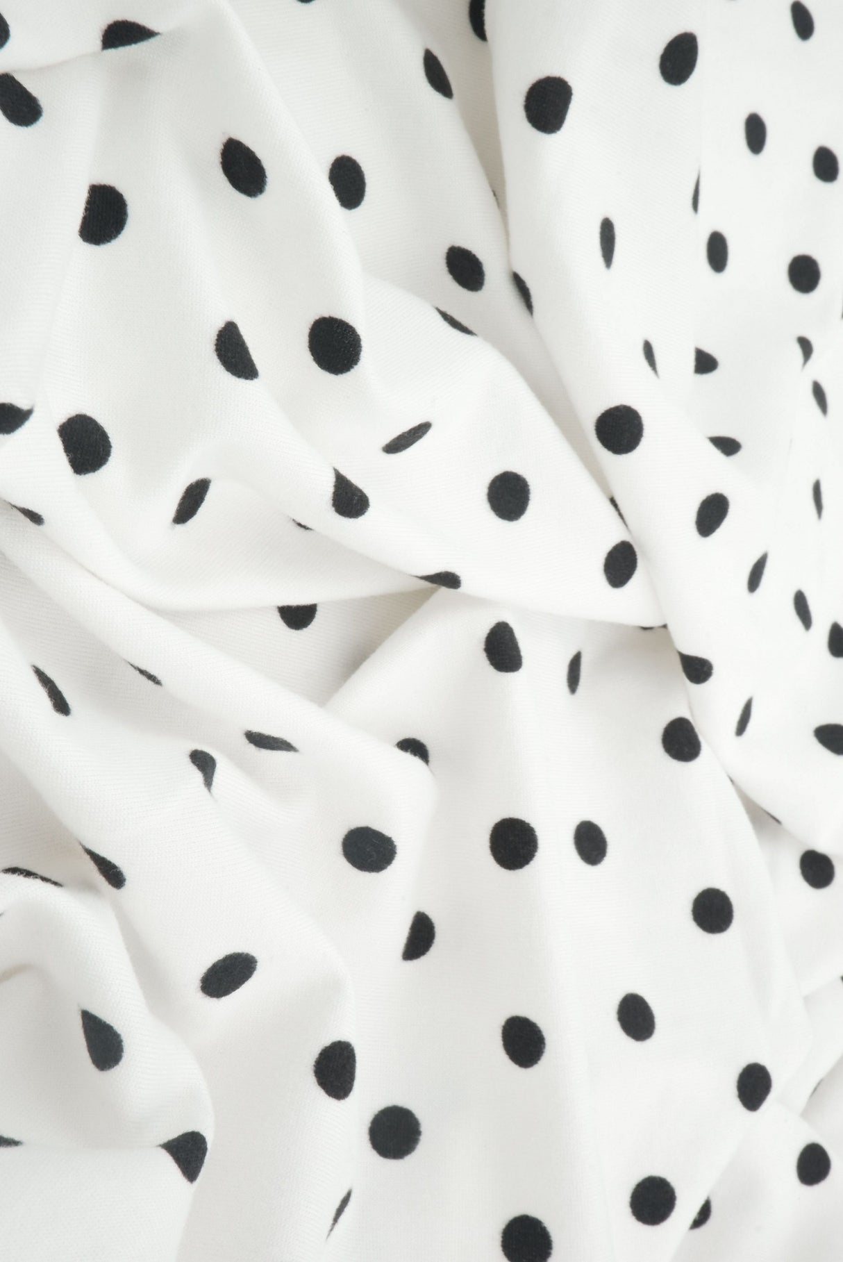 Polka Dot Brushed Knit Ivory Black