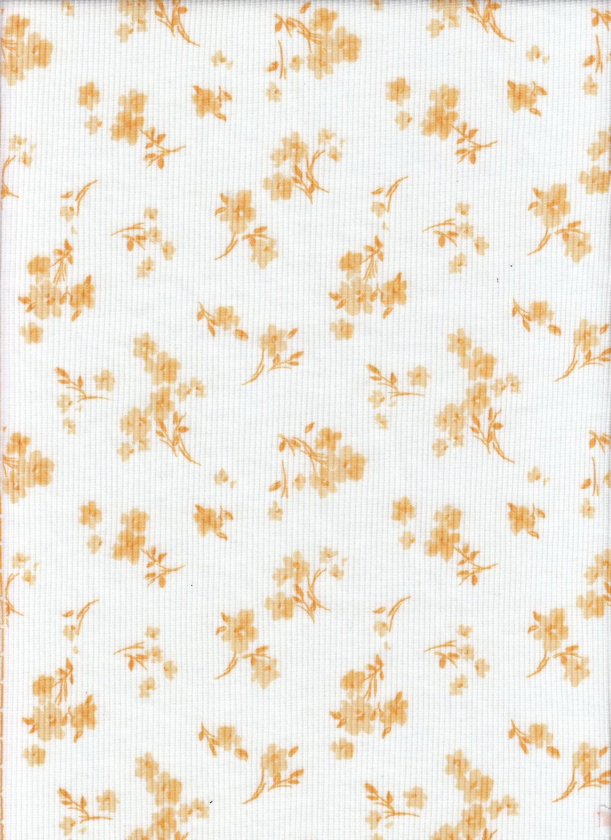 Ditsy Floral Rib Knit