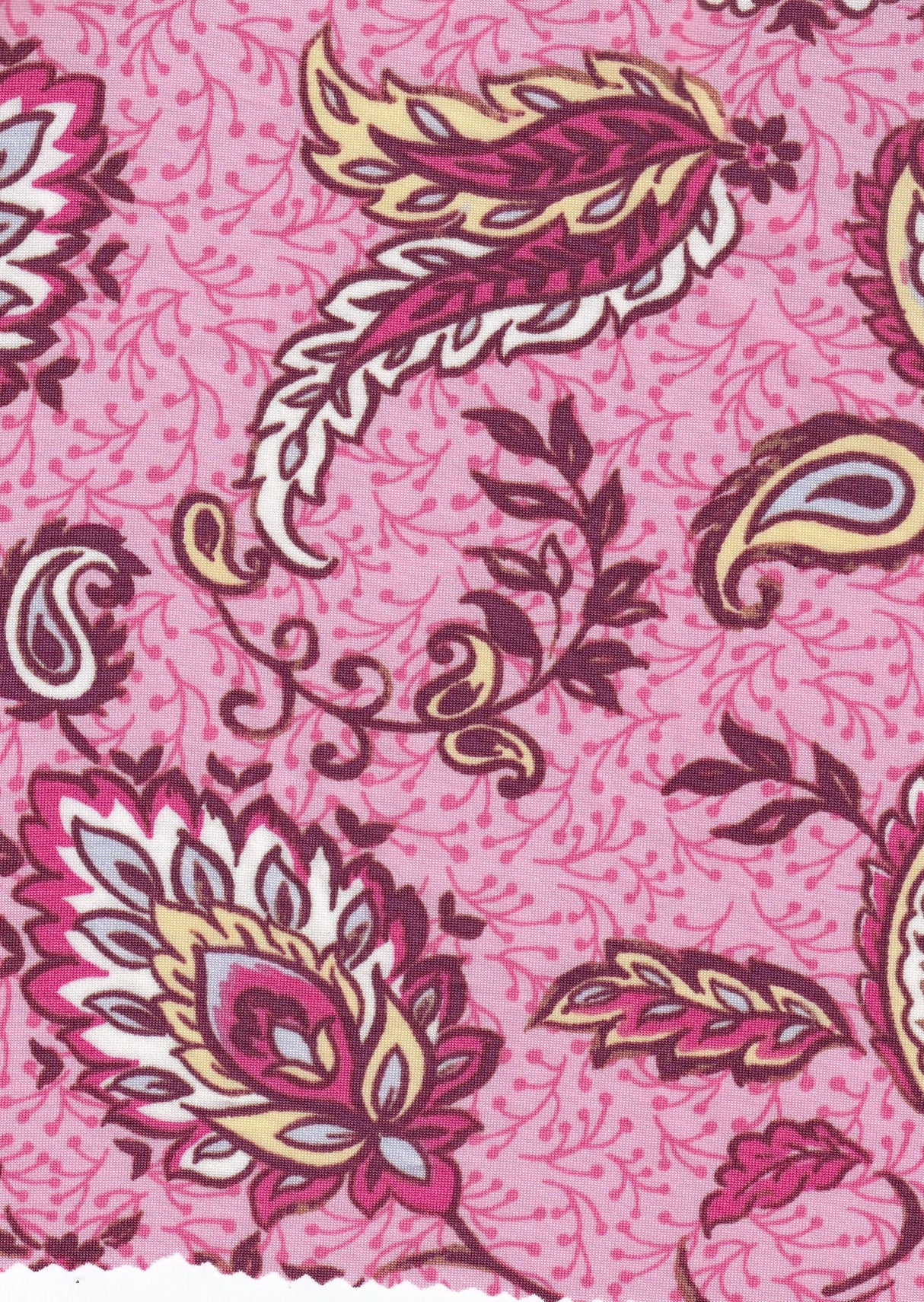 Printed DTY Knit Paisley