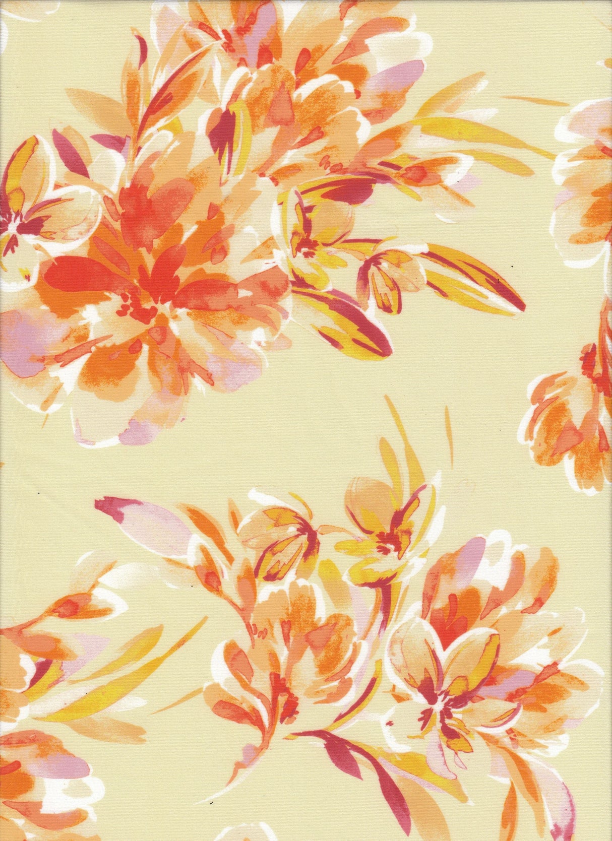 Floral DTY Knit Fabric