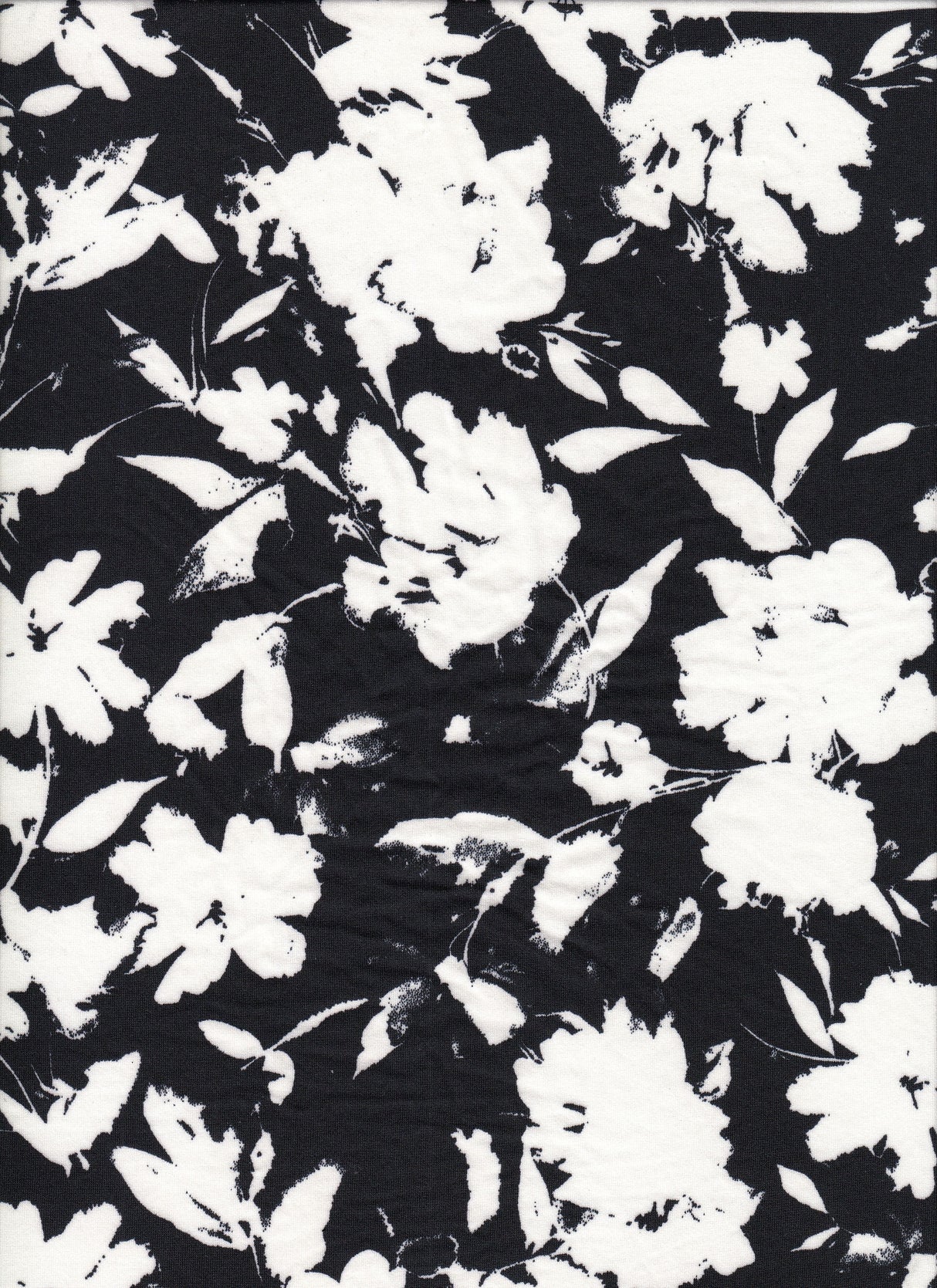 Floral Printed DTY Knit