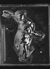 3D Jumbo Sitting Bunny Chocolate Mold - Side A - LPE307A