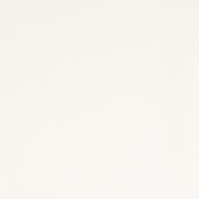Polyester Spandex Knit Fabric Ivory DTY Double Brushed