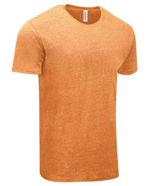 Threadfast Apparel Unisex Triblend T-Shirt