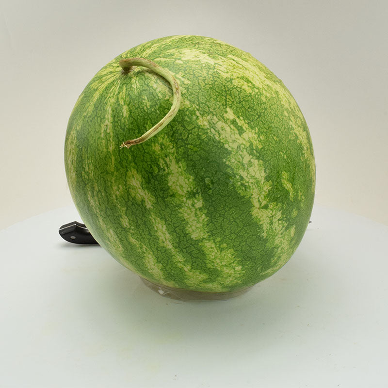 Watermelon Sweet Dawn F1 Seed