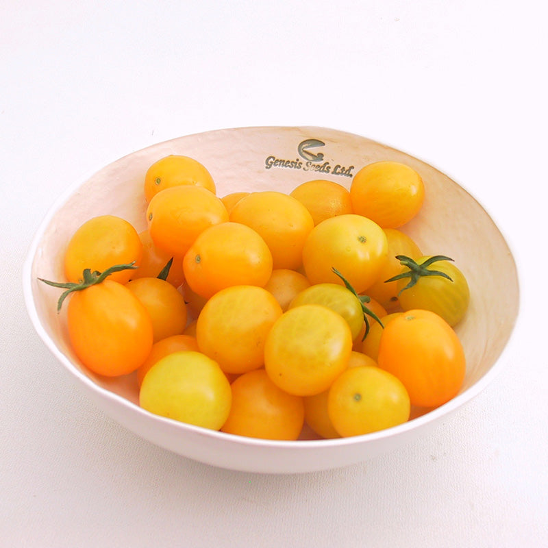 Tomato Esterina F1 Organic Seed