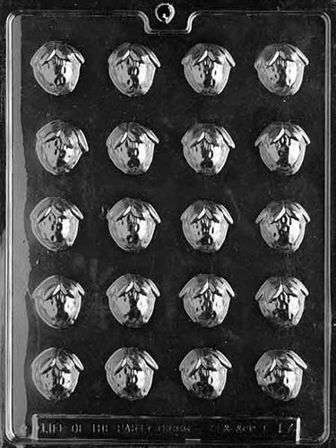 Bite Size Strawberry Chocolate Mold