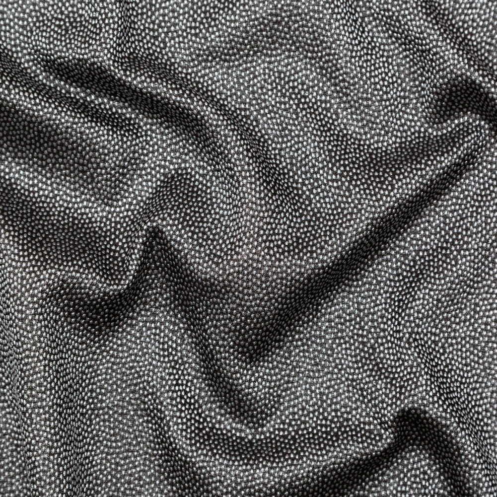 Metallic Silver on Black Abstract Luxury Brocade