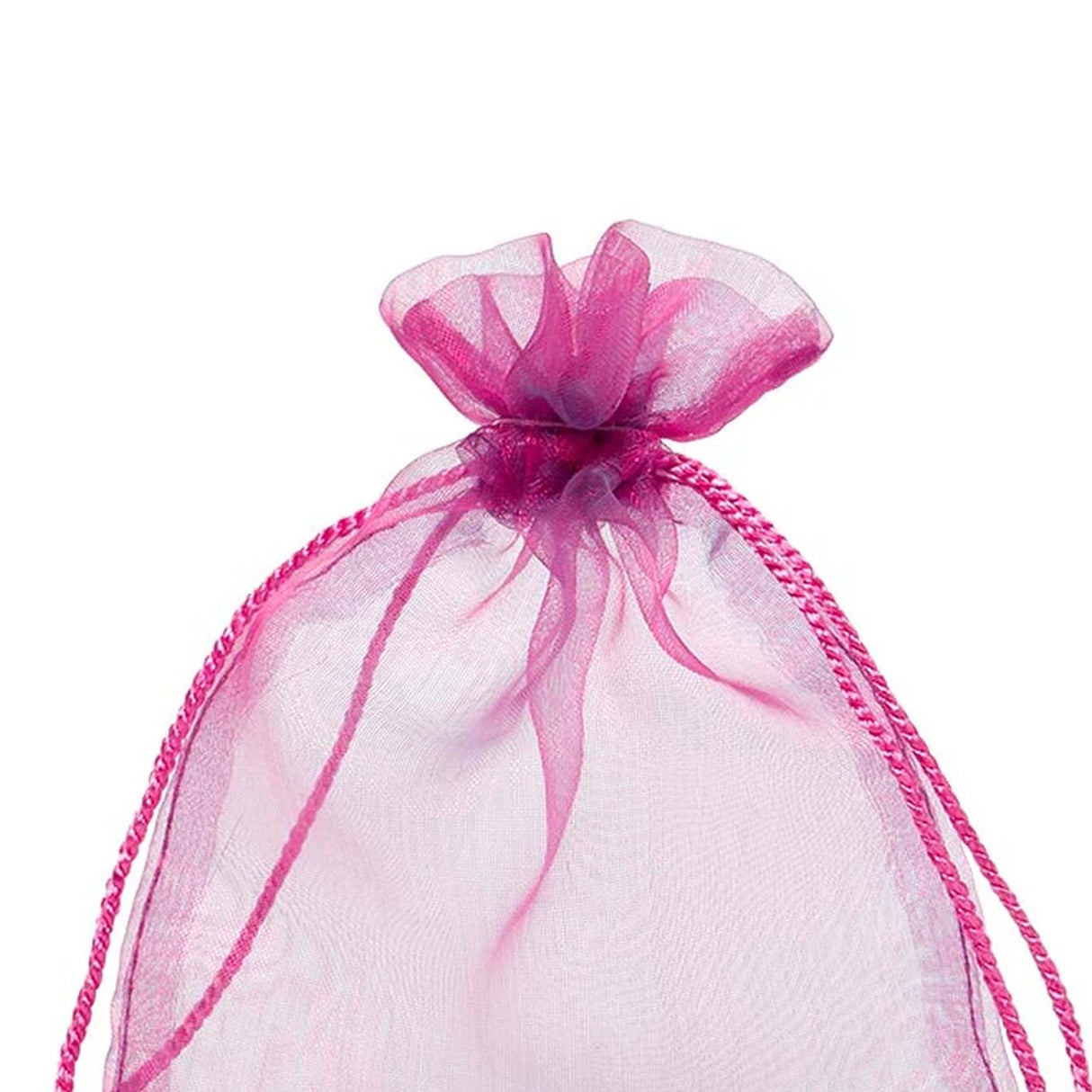 Jewel Tone Iridescent Sheer Tasseled Bags 5'' x 6 1/2'' for Gifts