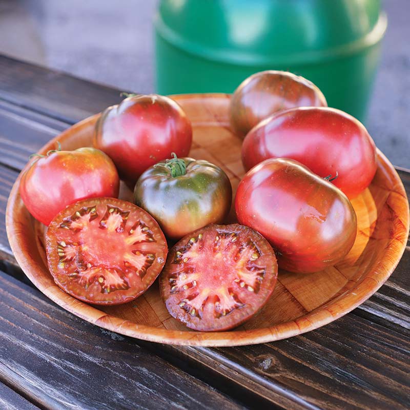 Tomato Medusa F1 Organic Seed