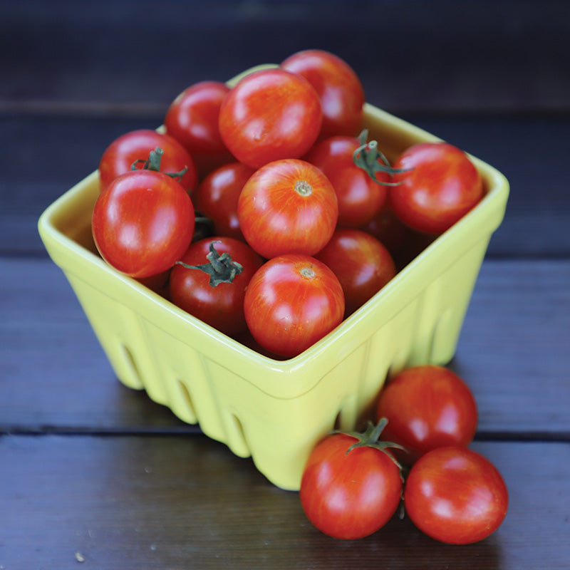 Tomato Sparky XSL F1 Seed